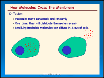 Diffusion of Bromine