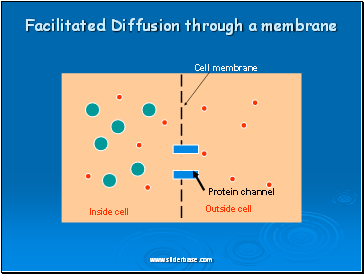 Facilitated Diffusion through a membrane