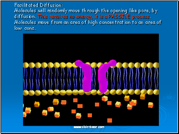 Facilitated Diffusion Molecules will randomly move through the opening like pore, by diffusion. This requires no energy, it is a PASSIVE process. Molecules move from an area of high concentration to an area of low conc.