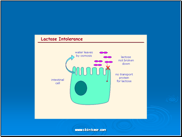 Cell membrane transport