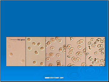 Cell membrane transport