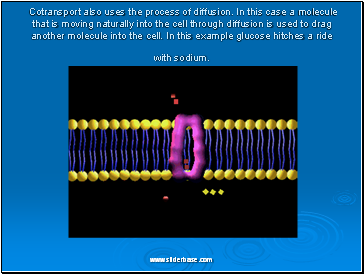 Cotransport also uses the process of diffusion. In this case a molecule that is moving naturally into the cell through diffusion is used to drag another molecule into the cell. In this example glucose hitches a ride with sodium. Cotransport also uses the process of diffusion. In this case a molecule that is moving naturally into the cell through diffusion is used to drag another molecule into the cell. In this example glucose hitches a ride with sodium.