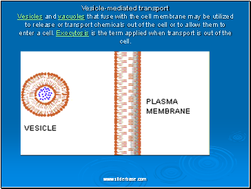 Vesicle-mediated transport  Vesicles and vacuoles that fuse with the cell membrane may be utilized to release or transport chemicals out of the cell or to allow them to enter a cell. Exocytosis is the term applied when transport is out of the cell.