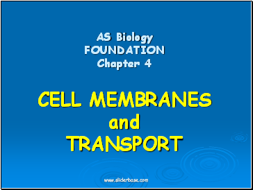 AS Biology FOUNDATION Chapter 4 CELL MEMBRANES and TRANSPORT