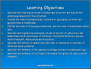 Learning Objectives