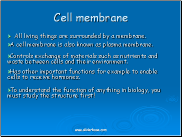 Cell membrane