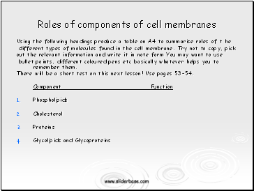 Roles of components of cell membranes