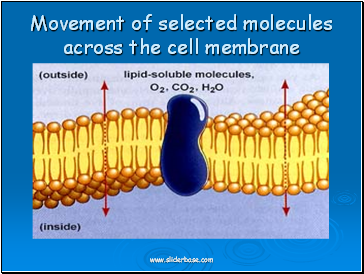 Movement of selected molecules across the cell membrane