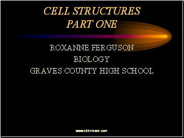 Cell Structures Part One