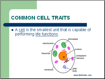 Common Cell Traits