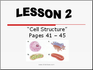 Cell structures Lesson 2