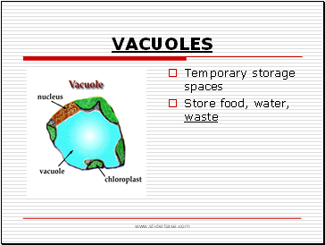 Vacuoles