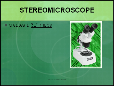 Stereomicroscope