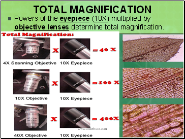 Total Magnification