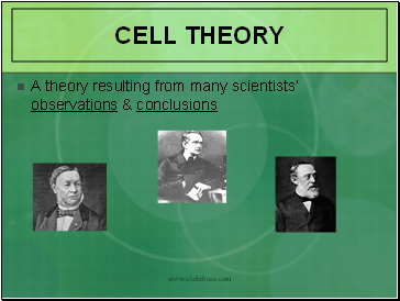 Cell Theory