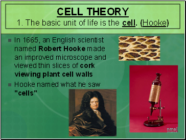 Cell Theory 1. The basic unit of life is the cell. (Hooke)