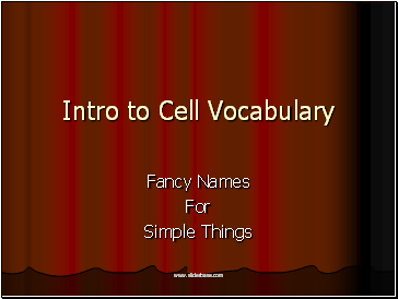 Intro to Cell Vocabulary