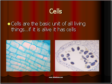 Cells