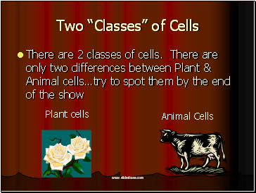 Two “Classes” of Cells
