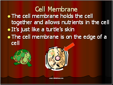 Cell Membrane