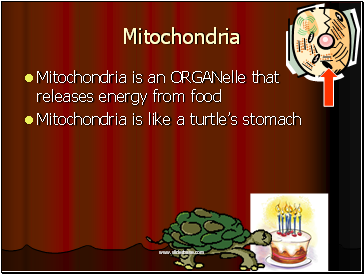 Mitochondria