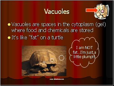 Vacuoles