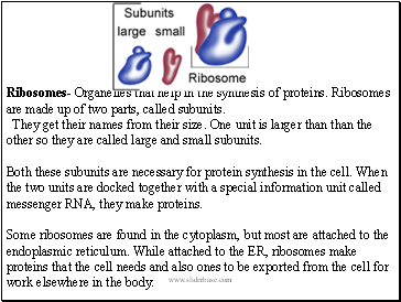 www.sliderbase.com