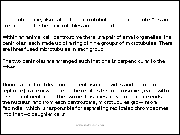 The centrosome, also called the "microtubule organizing center", is an area in the cell where microtubles are produced.