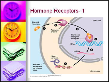 Hormone Receptors- 1