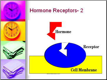 Hormone Receptors- 2