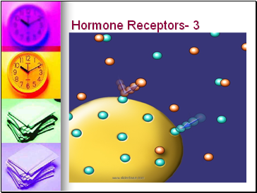 Hormone Receptors- 3