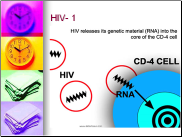 HIV- 1