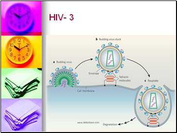HIV- 3