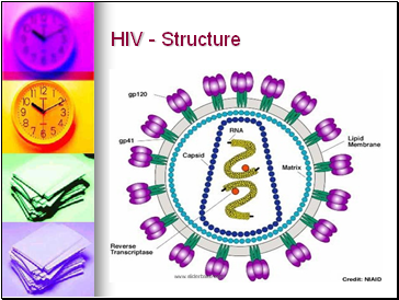 HIV - Structure