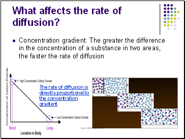 What affects the rate of diffusion?