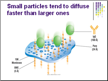 Small particles tend to diffuse faster than larger ones