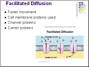 Facilitated Diffusion