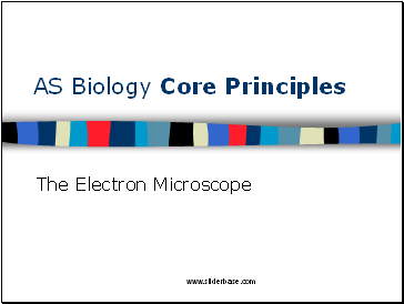 AS Biology Core Principles