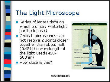 The Light Microscope