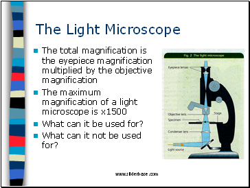 The Light Microscope