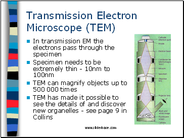 Transmission Electron Microscope (TEM)