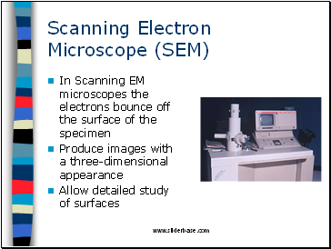 Scanning Electron Microscope (SEM)