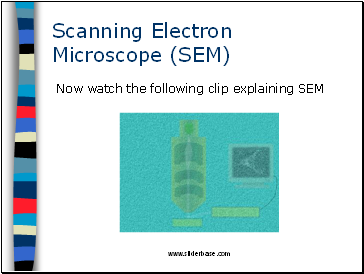 Scanning Electron Microscope (SEM)