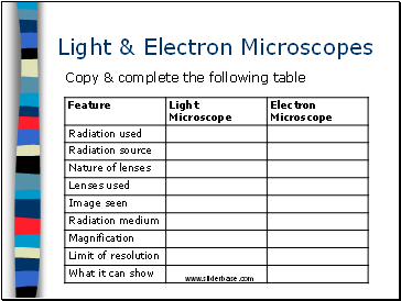 Light & Electron Microscopes