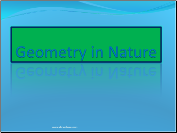 Geometry in Nature