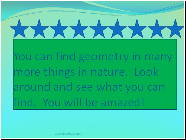You can find geometry in many more things in nature. Look around and see what you can find. You will be amazed!