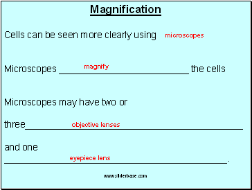 Magnification