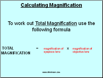 Calculating Magnification