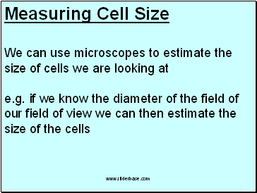 Measuring Cell Size
