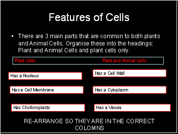 Features of Cells